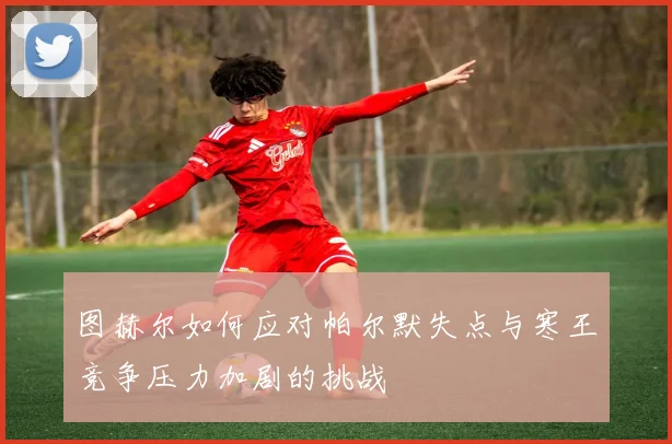 图赫尔如何应对帕尔默失点与寒王竞争压力加剧的挑战